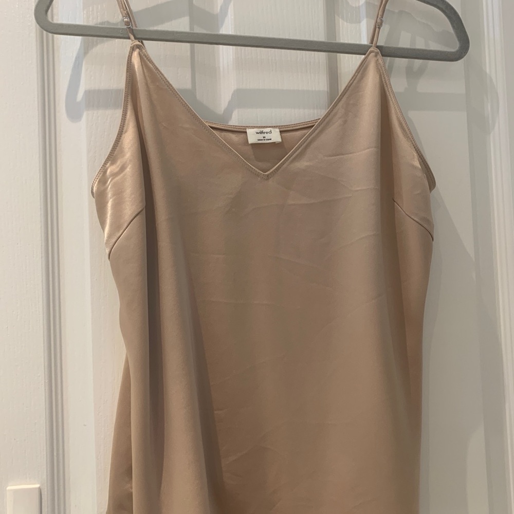 Aritzia Top